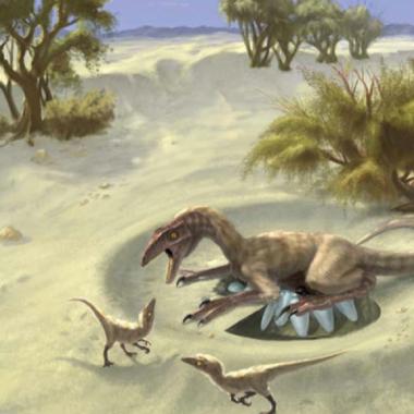 Dinosaures : sang chaud ou froid ?