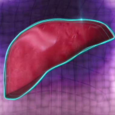 Voir la vidéo de La lumière imprime des organes