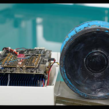 Daurades royales : l’Ifremer contre-attaque