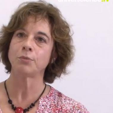 5e rapport du GIEC - Les dernières nouvelles du climat