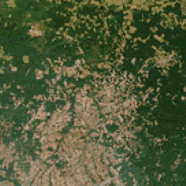 Mauvaise passe pour la forêt amazonienne