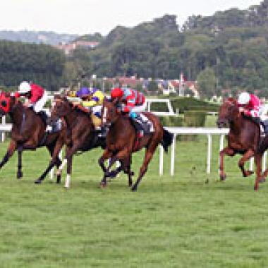 Chevaux de course : dopage contrôlé ?