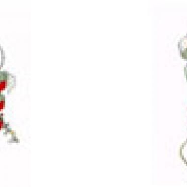 Le prion, un dangereux agent double