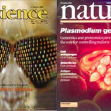 Paludisme : un nouveau départ ?