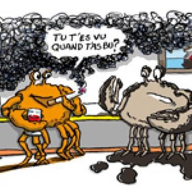 Un rapport controversé : ''Les causes du cancer en France''