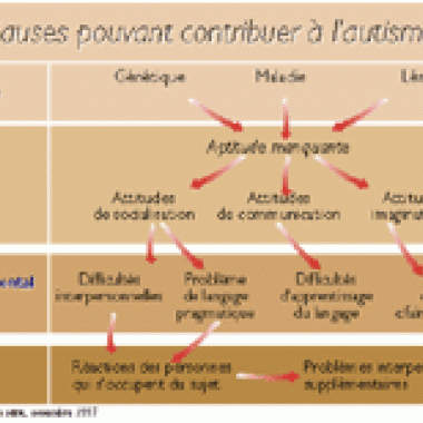 Autisme : la part des gènes ?