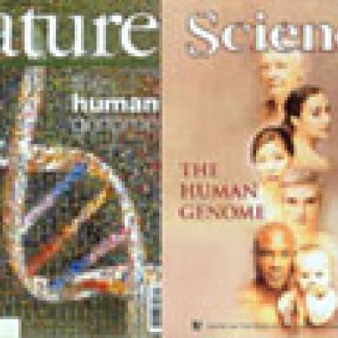 Génome humain : à l'heure du séquençage