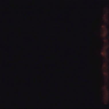 Un incendie en microgravité