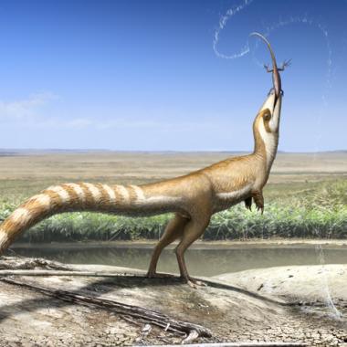 La vie en couleurs du Sinosauropteryx