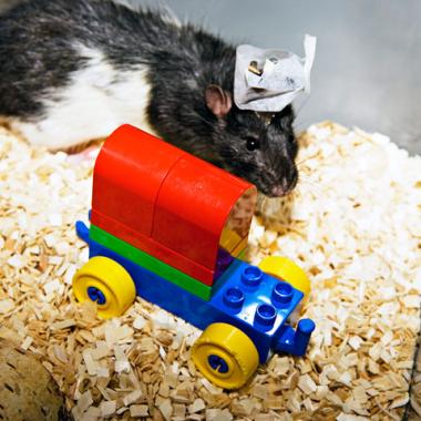 Sens de l’orientation ? Où ça ? 