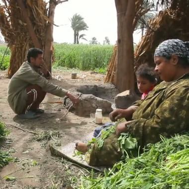 Voir la vidéo de Olfate sur le delta du Nil (Egypte)