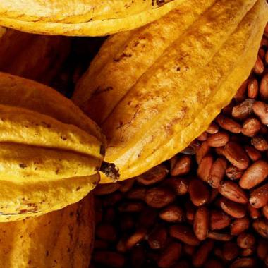 Du chocolat encore meilleur pour la santé 