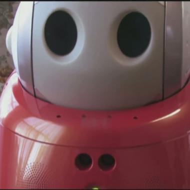 Le règne des robots compagnons