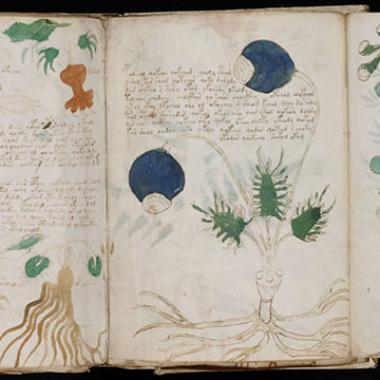 Le manuscrit de Voynich : un canular ?