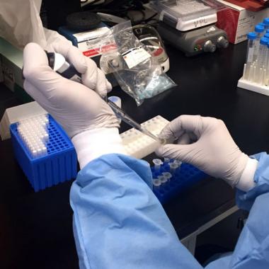 Zika : un vaccin prometteur chez le singe