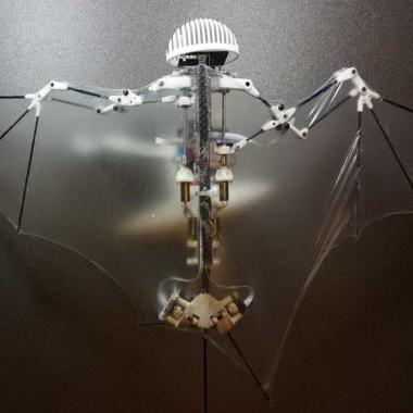 Bat-bot, un robot inspiré de la chauve-souris