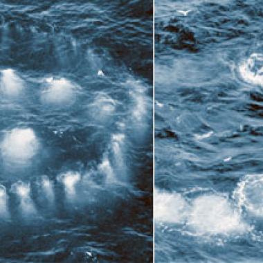 Des baleines à bosse et à bulles