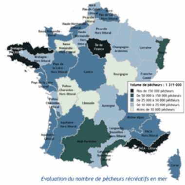 Pêche amateur : pression sur le bar