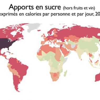 Le sucre, nouveau fléau de l’humanité ?