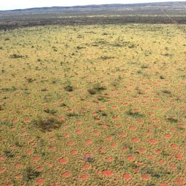 Des cercles de fées en Australie