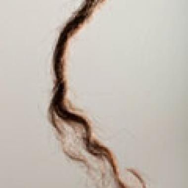 Quand le génome aborigène refait l’histoire