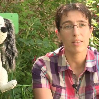 Voir la vidéo de Chiens racés, mais risqués 