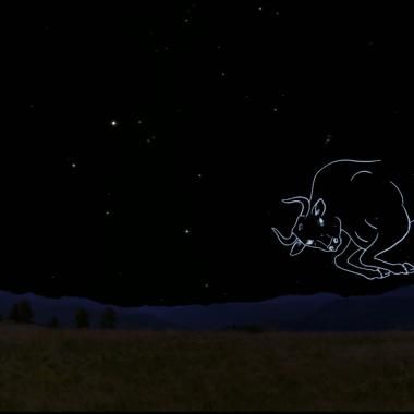 Voir la vidéo de La constellation du Taureau
