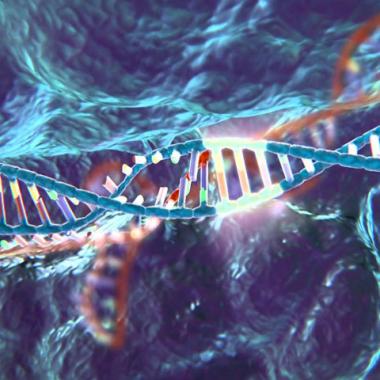 CRISPR-Cas9 : le couteau suisse qui révolutionne la génétique