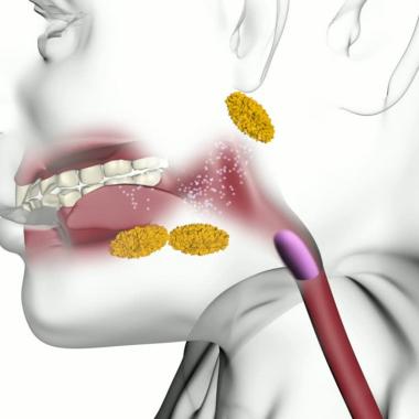 Voir la vidéo de La digestion comme vous ne l&#039;avez jamais vue