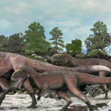 Le plumage, héritage des premiers dinosaures ?