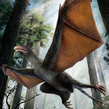 Drôle de vol de dino