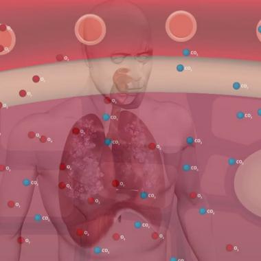 Voir la vidéo de La respiration comme vous ne l&#039;avez jamais vue