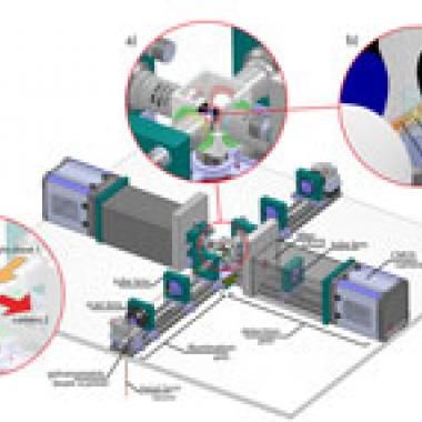 La genèse de l’asticot filmée en direct