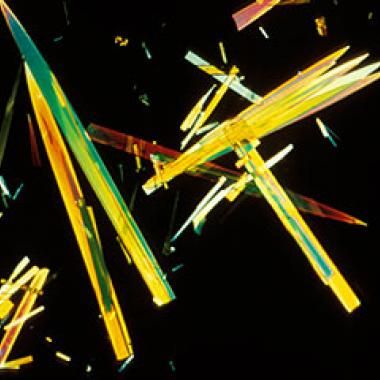 L’acide folique contre le risque d'autisme