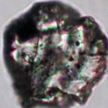 Poussière d’Itokawa