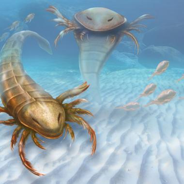 Un scorpion géant hantait les mers il y a 460 millions d'années