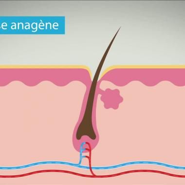 Voir la vidéo de Les cheveux comme vous ne les avez jamais vus