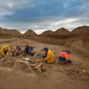 Un mammouth en banlieue parisienne