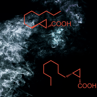 L’odeur mystérieuse de l’encens
