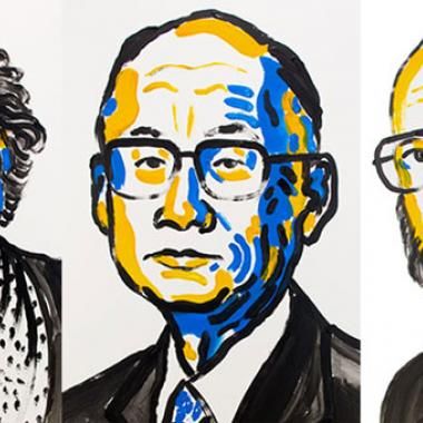 Nobel de médecine 2015 : la lutte contre les maladies parasitaires récompensée