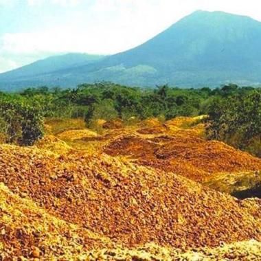 Costa Rica : la fertilité inattendue des peaux d&#039;oranges