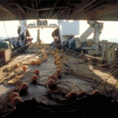 Pêche profonde : l’Europe peine à fixer le cap