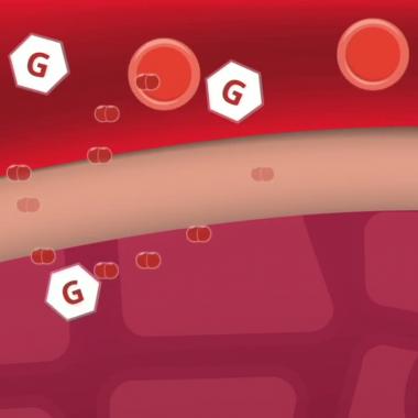 Voir la vidéo de La respiration cellulaire comme vous ne l&#039;avez jamais vue