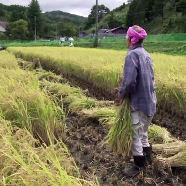 Le retour des habitants à Fukushima