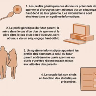 Un brevet pour des bébés sur mesure