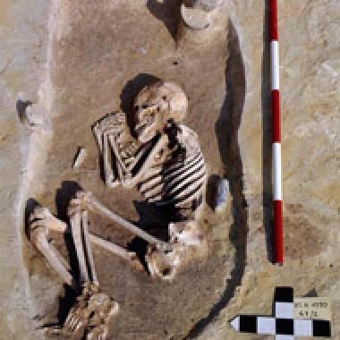 7000 ans d'inégalités sociales