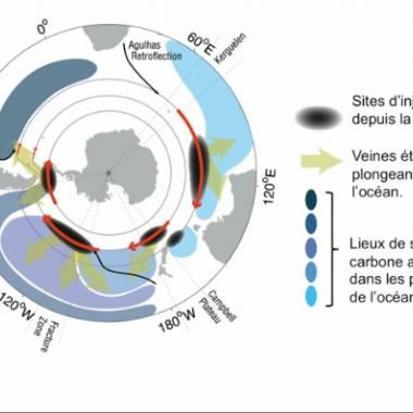 Quand de gigantesques tourbillons enfouissent le carbone au fond des océans