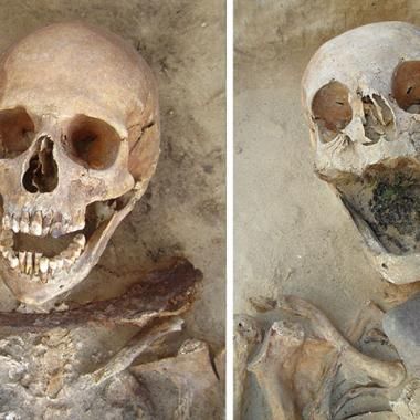 Vampires et suspicion