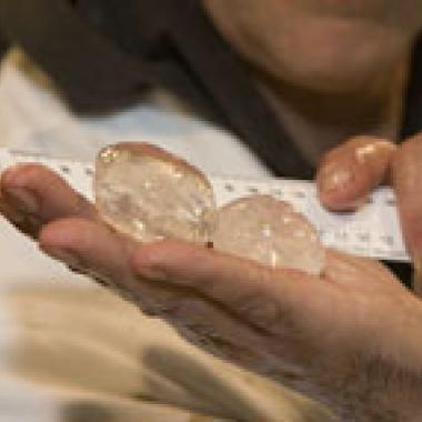 Le calamar géant fait les gros yeux