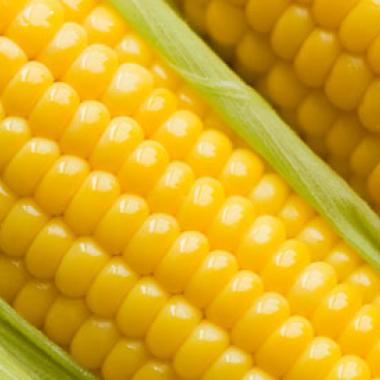 OGM : gare aux chiffres